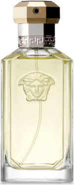 Versace The Dreamer 100 ml Eau de Toilette Spray