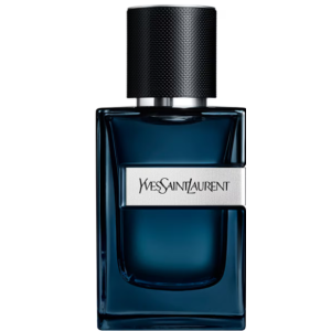 Yves saint laurent y for men eau de parfum cheap